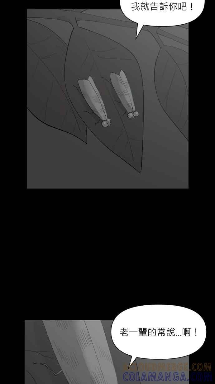黑盒子 [357话] 奇蹟亭(4) 第19页