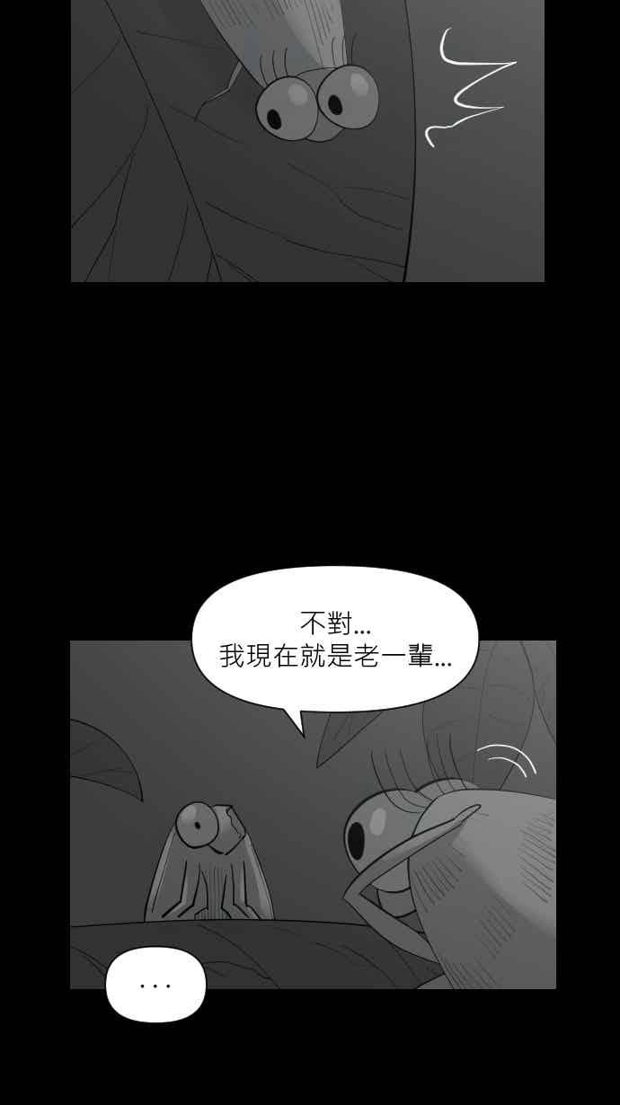 黑盒子 [357话] 奇蹟亭(4) 第20页