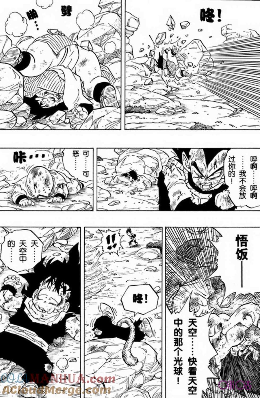 龙珠 第239话 第13页