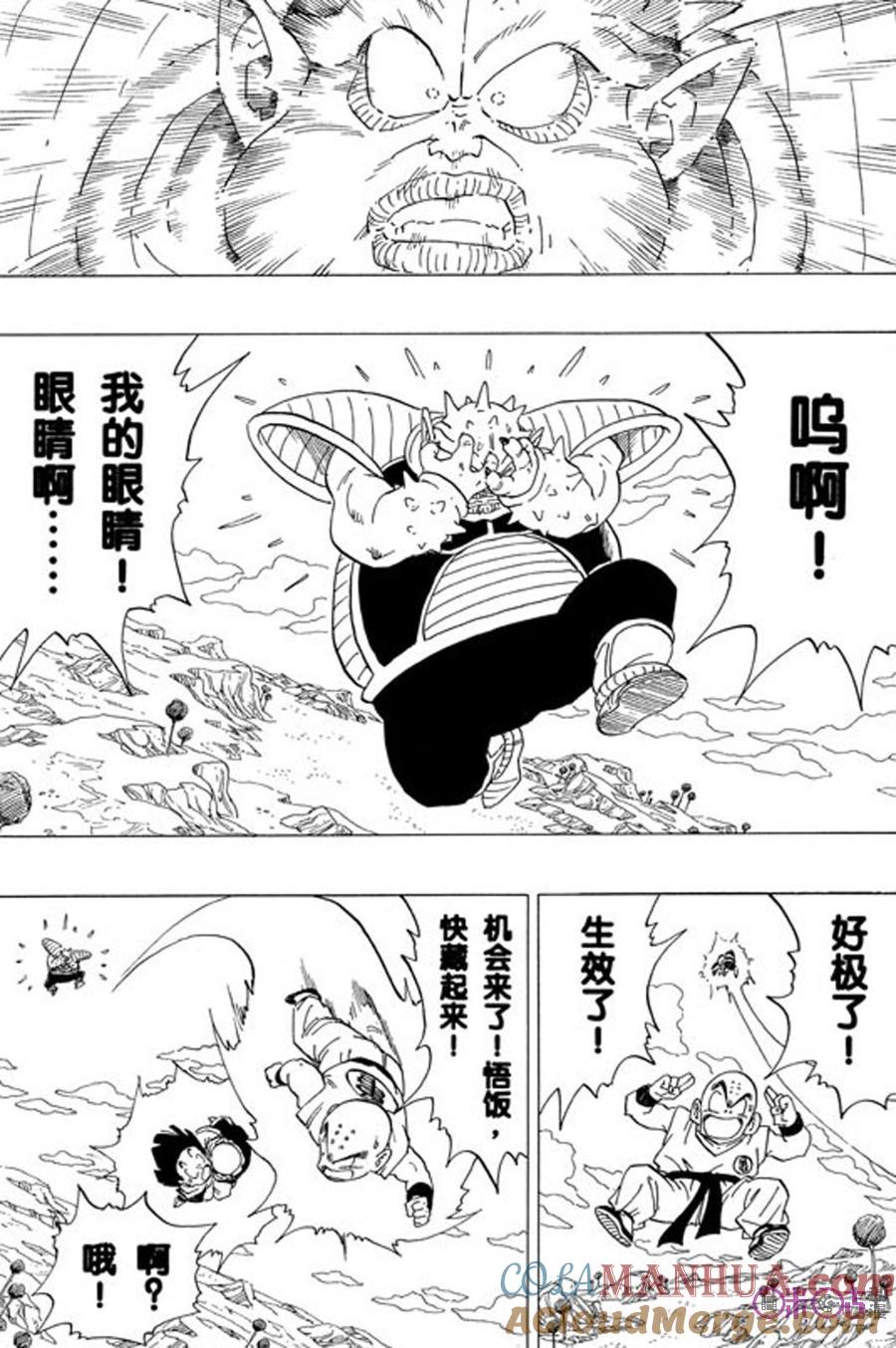 龙珠 第256话 第5页