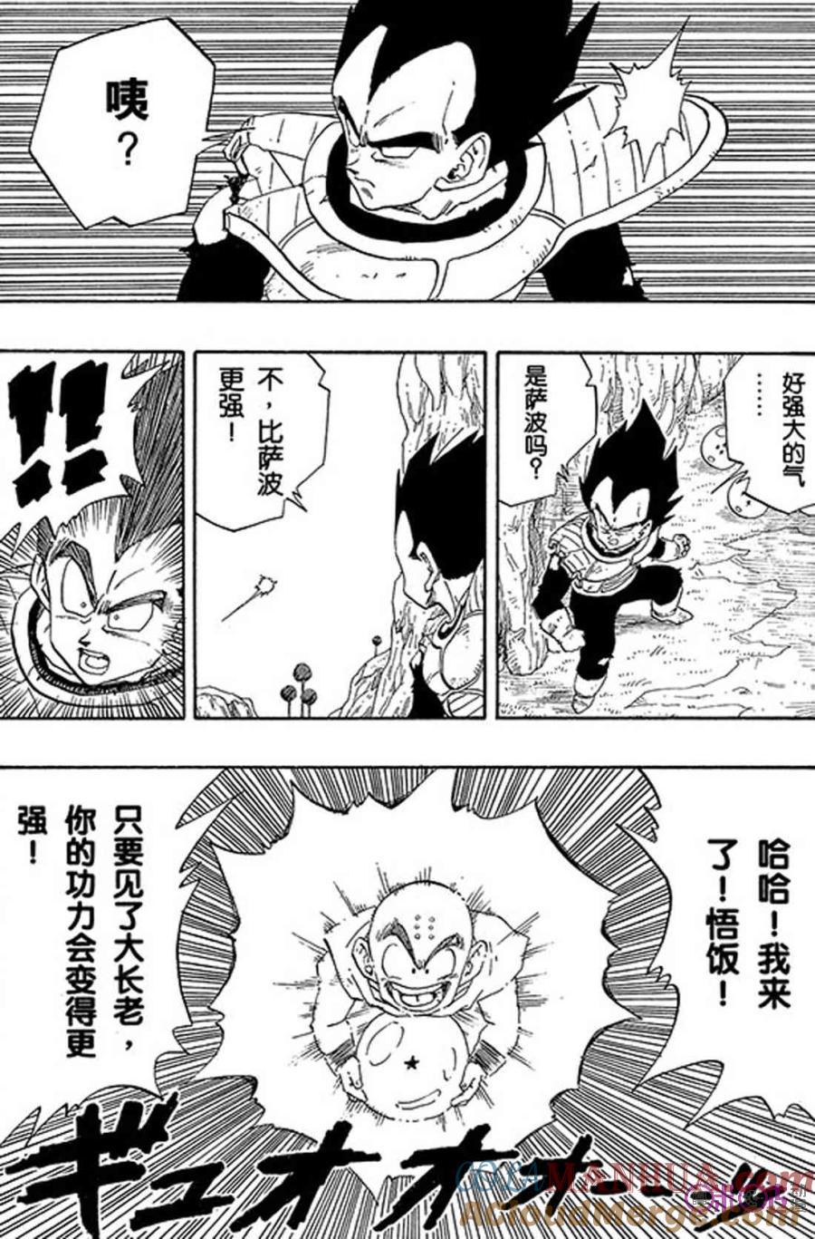 龙珠 第266话 第13页