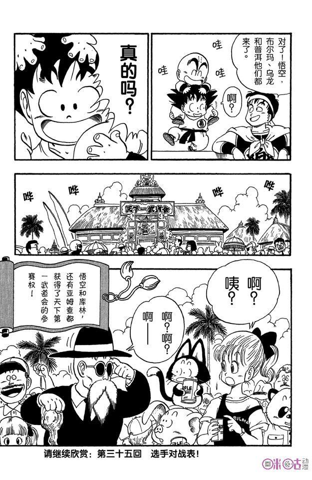 龙珠 第34话 第14页