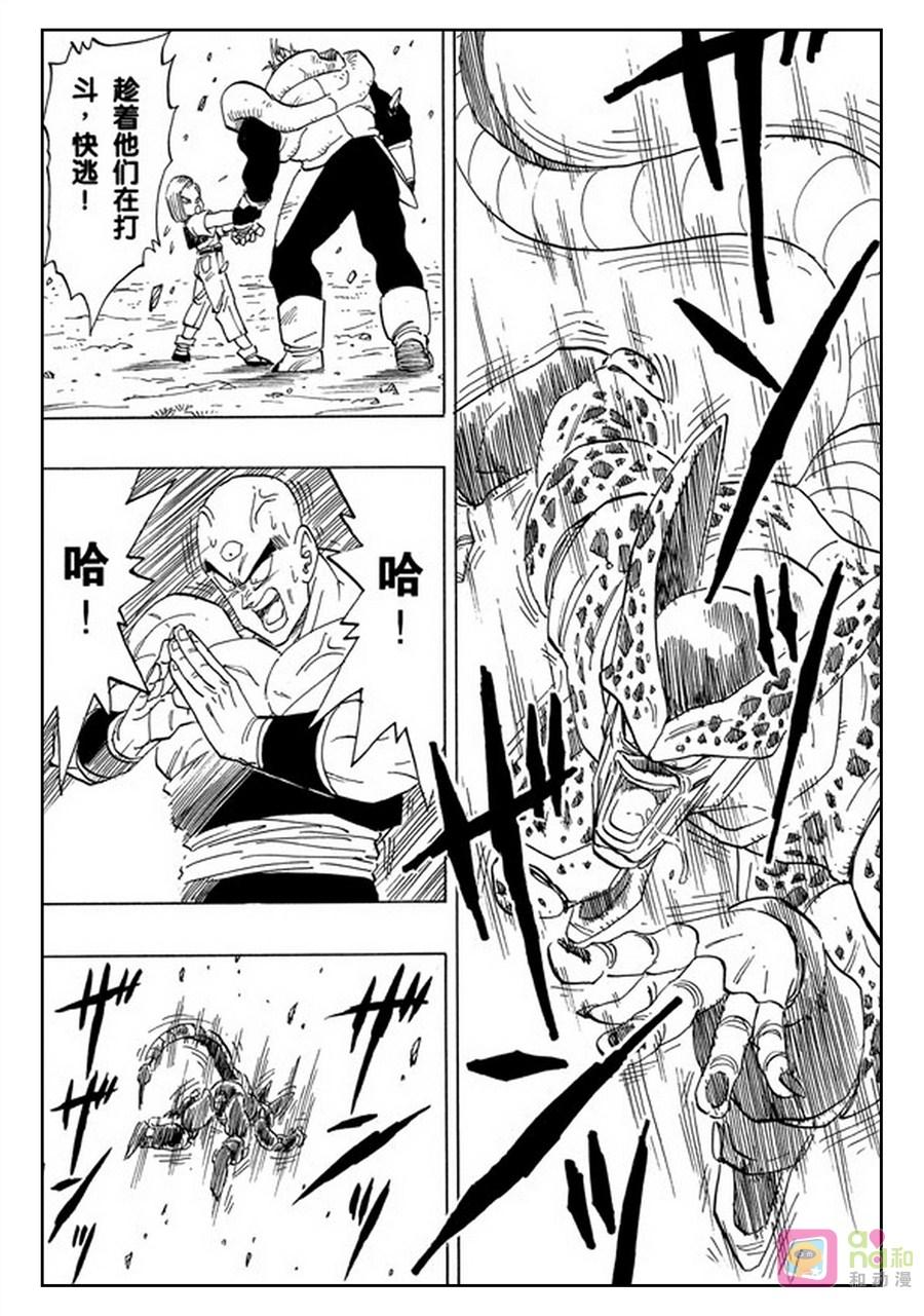 龙珠 第374话 第2页