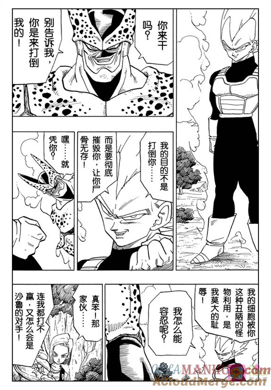 龙珠 第376话 第13页