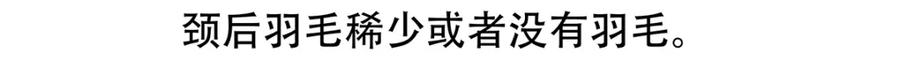 《胖达x胖达》第84话 第22页