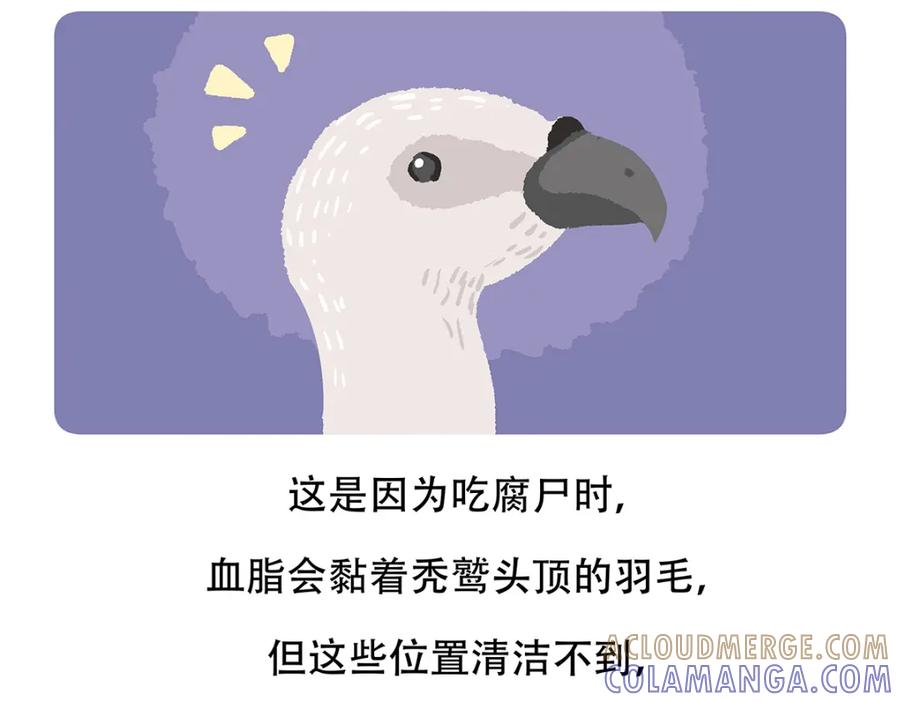 《胖达x胖达》第84话 第23页