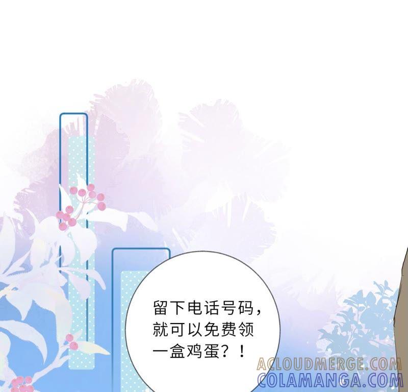 《遇见织女的300天》回我家住吧！ 第61页
