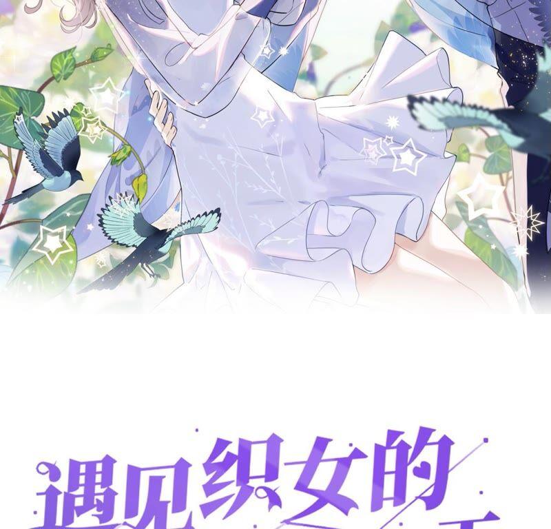 《遇见织女的300天》倒霉少女巧遇鹊桥 第2页