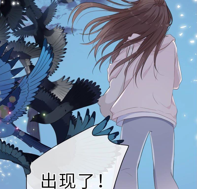 《遇见织女的300天》倒霉少女巧遇鹊桥 第103页