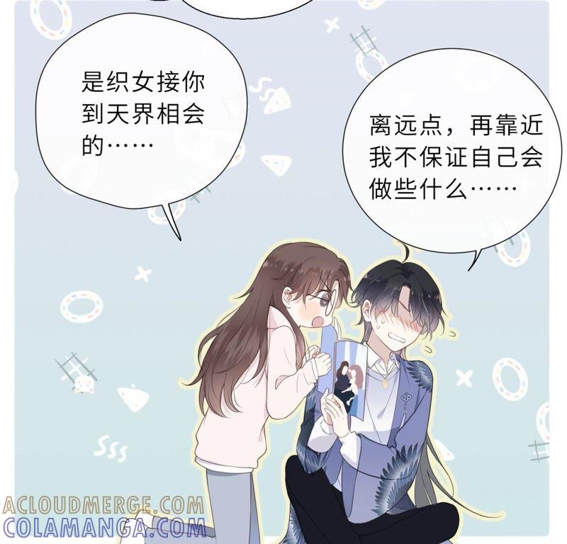 《遇见织女的300天》鹊桥上的美男 第49页