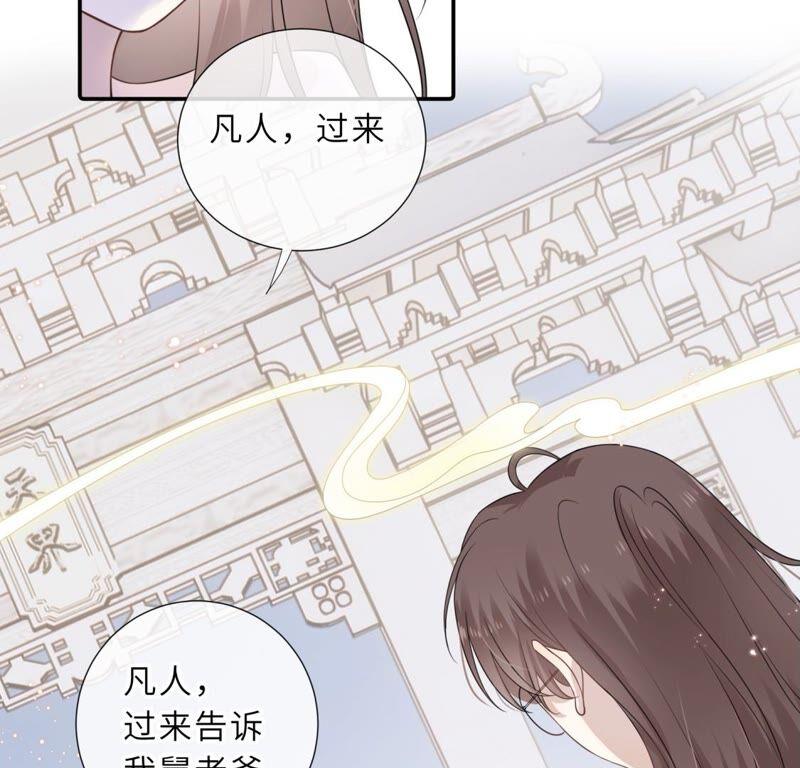 《遇见织女的300天》鹊桥上的美男 第100页