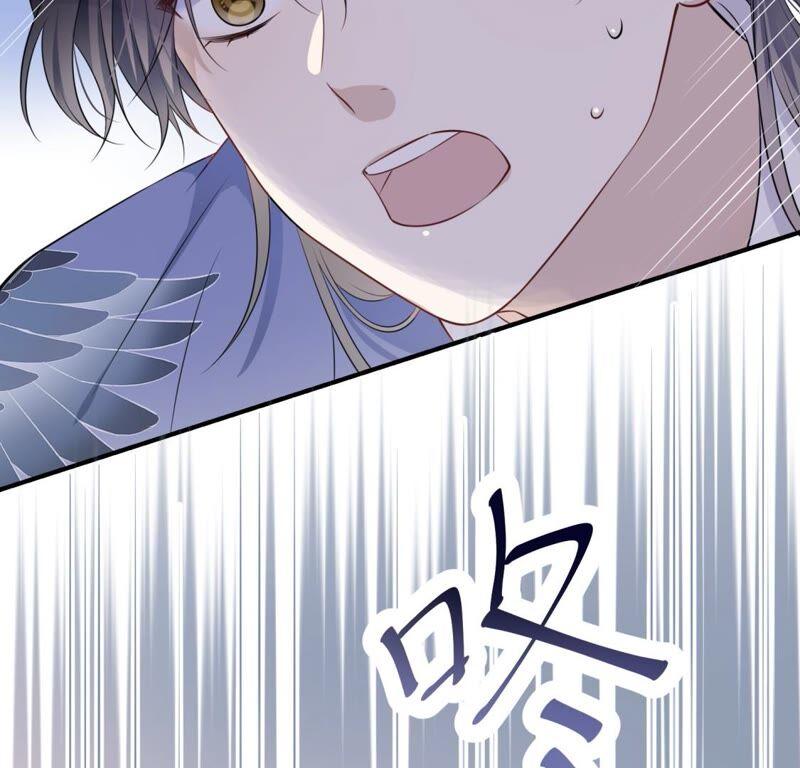《遇见织女的300天》鹊桥上的美男 第71页
