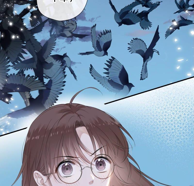 《遇见织女的300天》鹊桥上的美男 第7页
