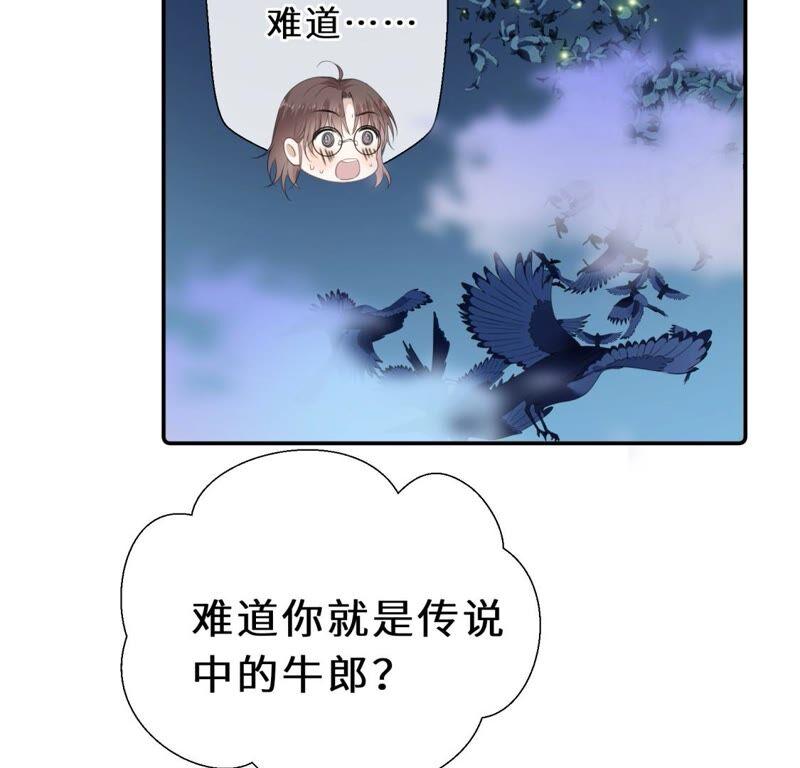 《遇见织女的300天》鹊桥上的美男 第48页