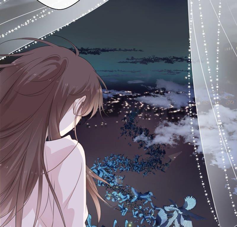 《遇见织女的300天》鹊桥上的美男 第42页