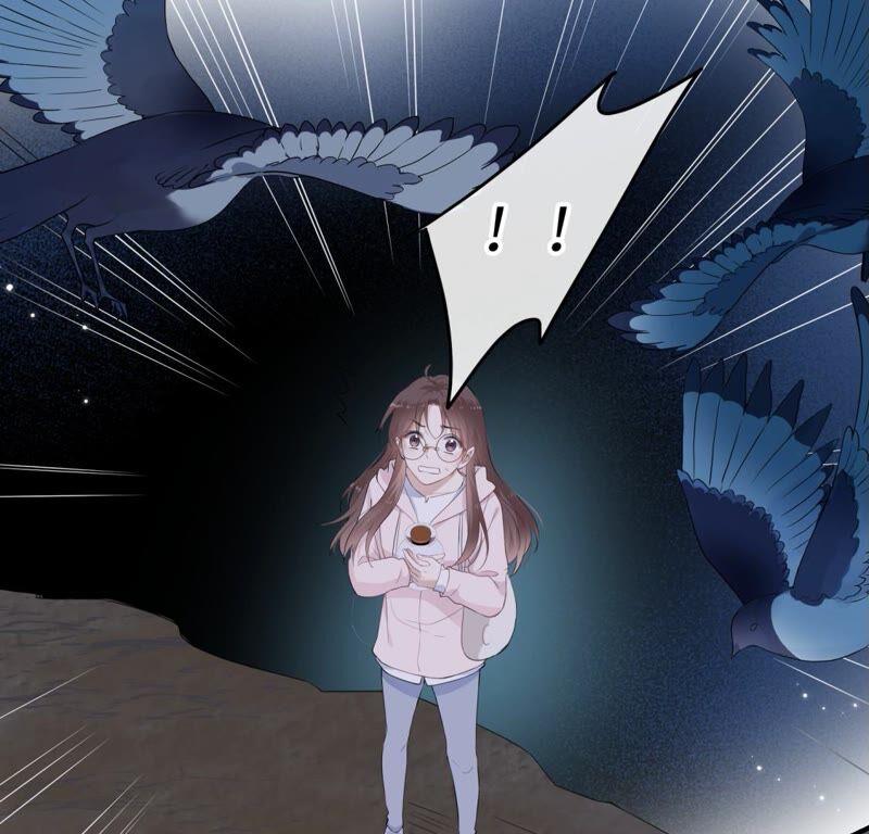 《遇见织女的300天》鹊桥上的美男 第15页