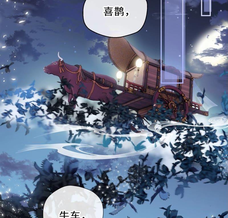 《遇见织女的300天》鹊桥上的美男 第6页