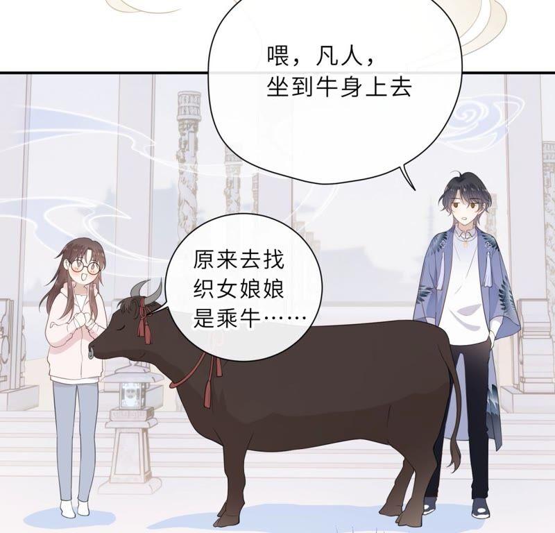 《遇见织女的300天》鹊桥上的美男 第87页