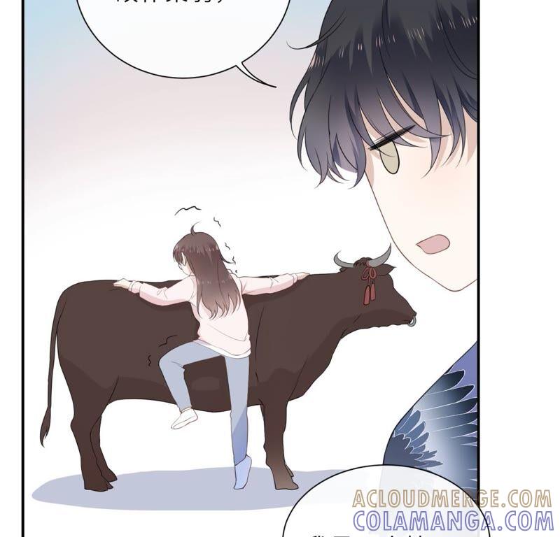 《遇见织女的300天》鹊桥上的美男 第89页