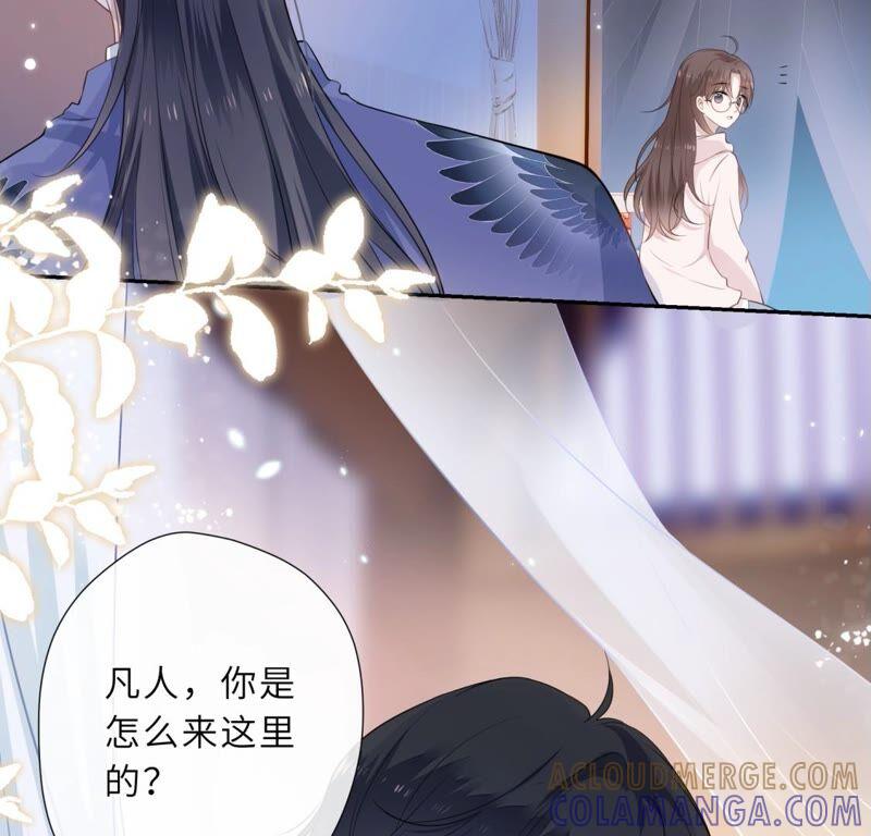 《遇见织女的300天》鹊桥上的美男 第33页