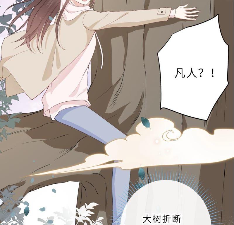 《遇见织女的300天》你的目标是谁？ 第66页