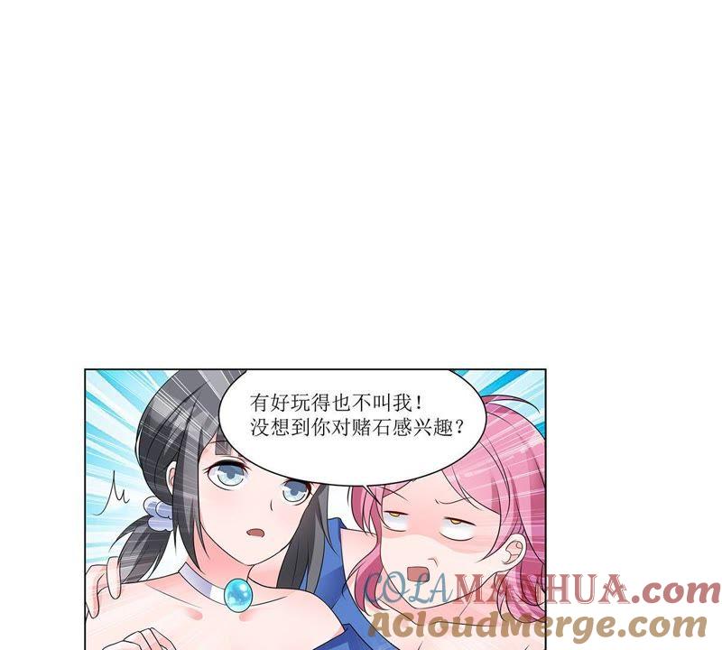 《龙族的宝藏》第27话 叶小玉赌石 第16页