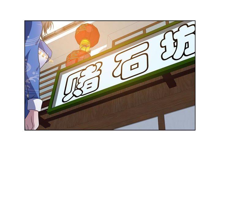 《龙族的宝藏》第27话 叶小玉赌石 第15页