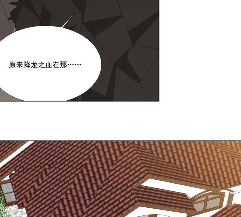 《龙族的宝藏》第43话 降龙之血 第24页