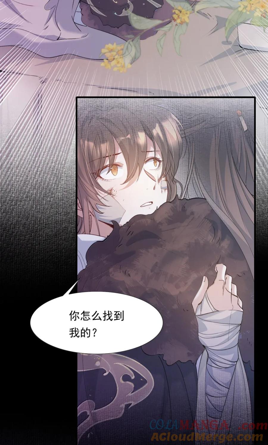 《乱世为王》116 满江红·相依偎 第3页
