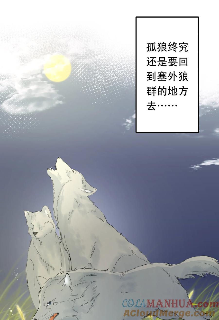 《乱世为王》013 摸鱼儿·孤狼 第97页