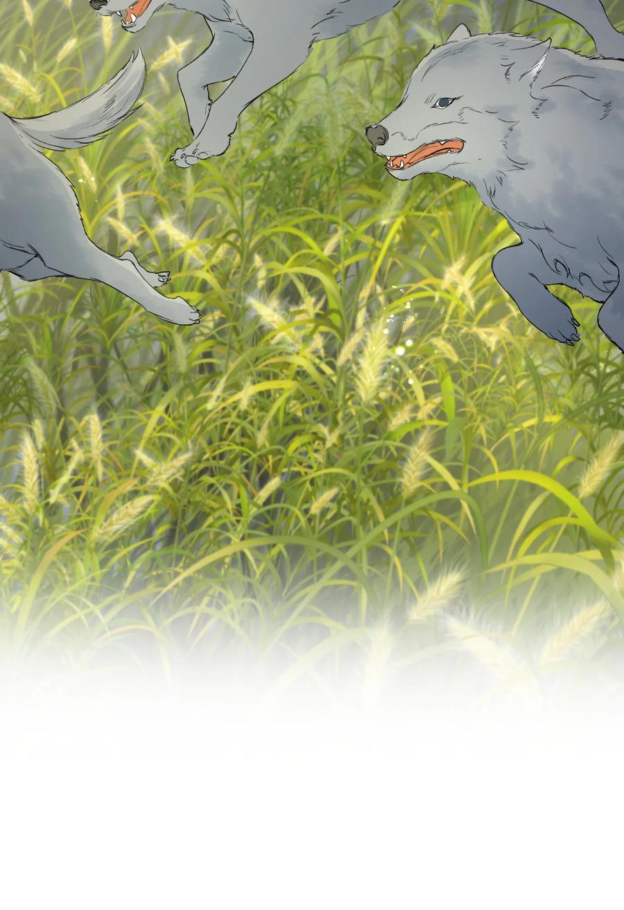 《乱世为王》013 摸鱼儿·孤狼 第98页