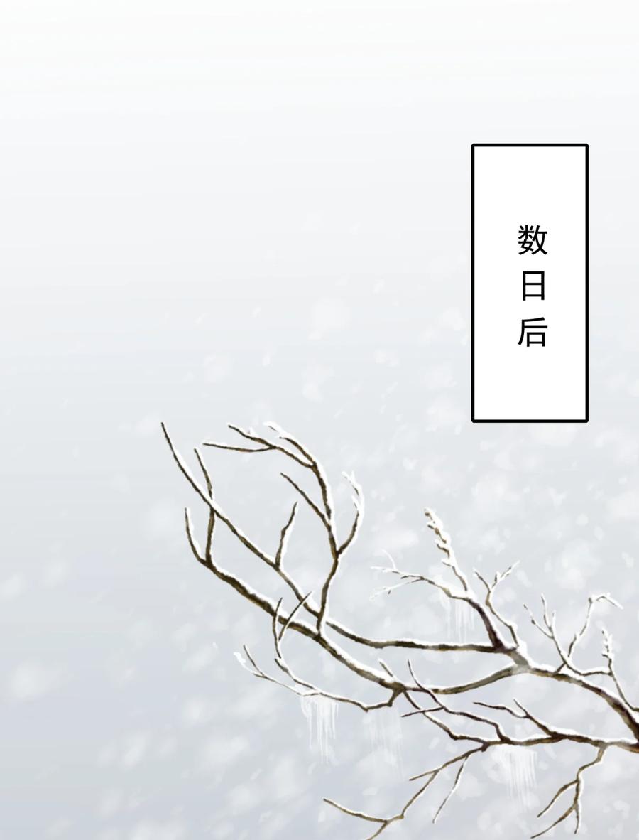 《乱世为王》006 摸鱼儿·前来 第2页