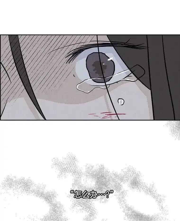 《消失的新郎》112.命运的玩笑 第147页
