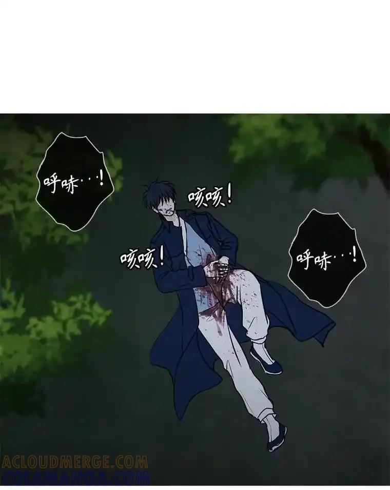 《消失的新郎》112.命运的玩笑 第113页