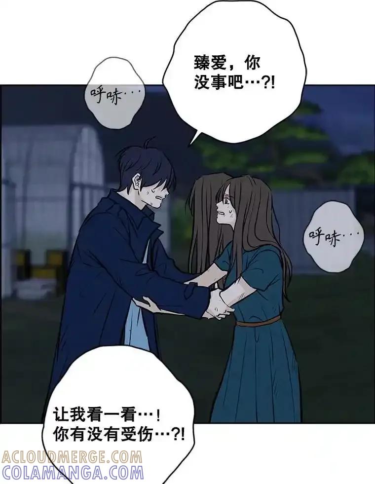 《消失的新郎》112.命运的玩笑 第57页