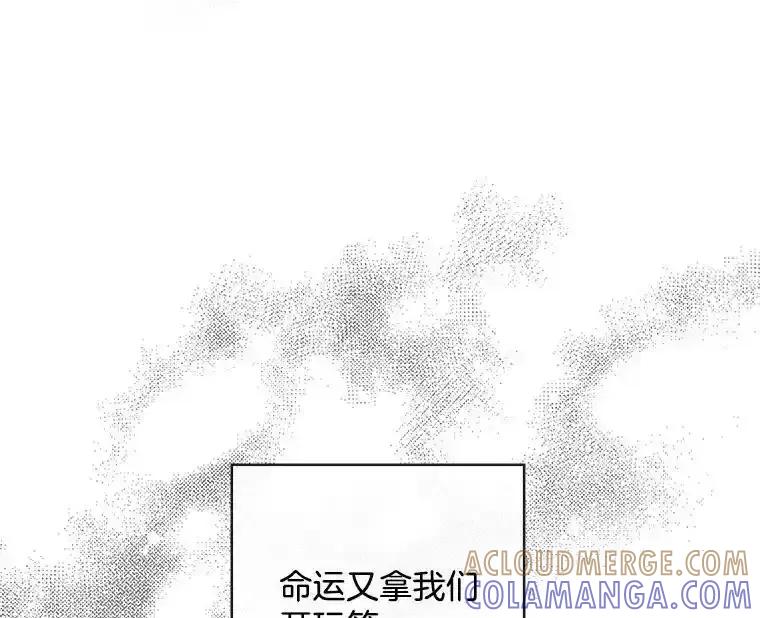 《消失的新郎》112.命运的玩笑 第161页