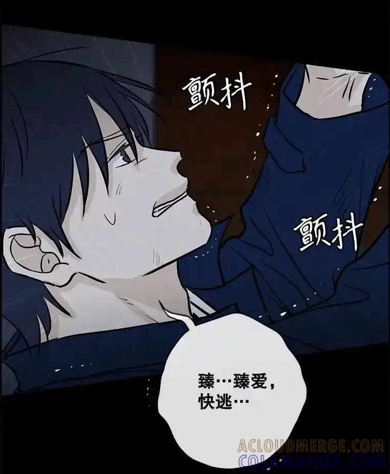 《消失的新郎》112.命运的玩笑 第37页