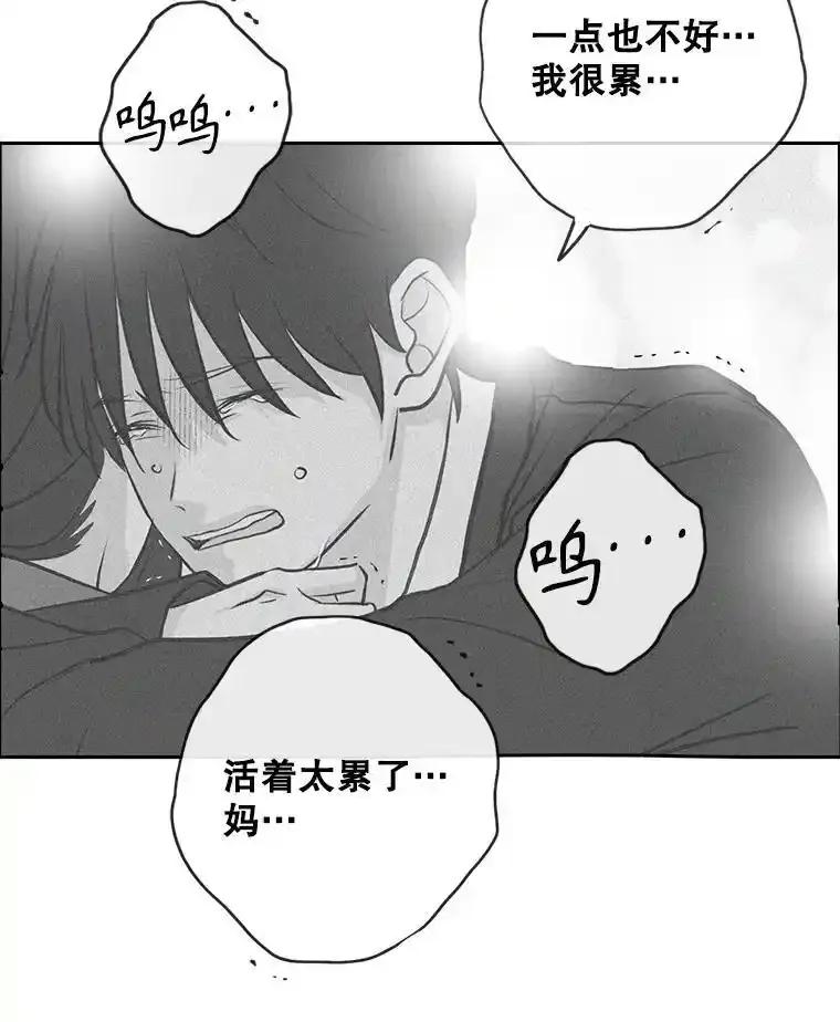 《消失的新郎》114.父母心 第26页