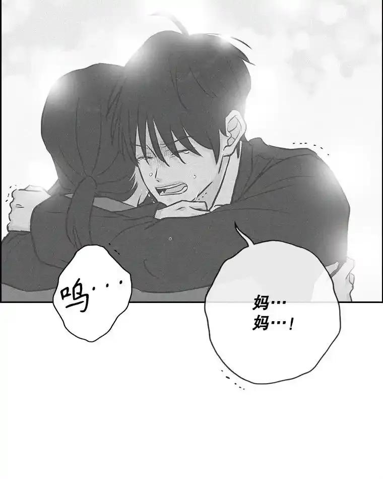 《消失的新郎》114.父母心 第23页