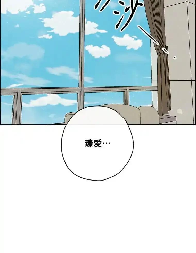 《消失的新郎》114.父母心 第67页