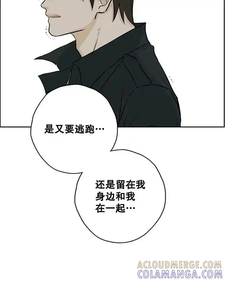 《消失的新郎》115.选择 第94页