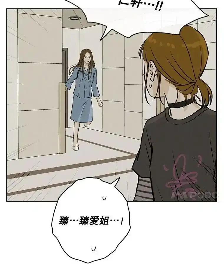 《消失的新郎》115.选择 第41页