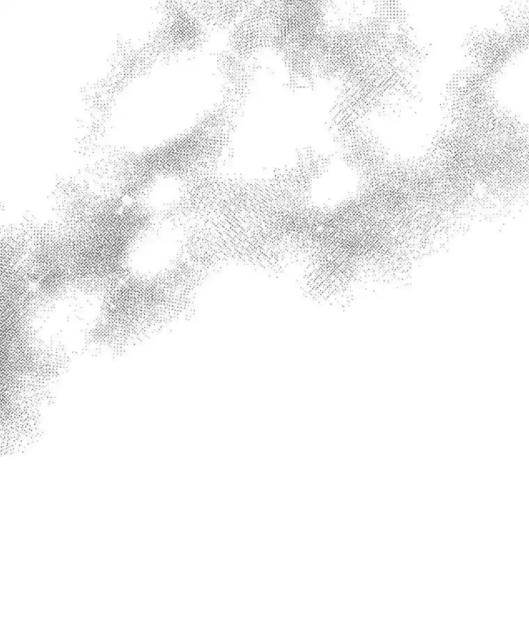 《消失的新郎》117.作法和爱情故事 第115页