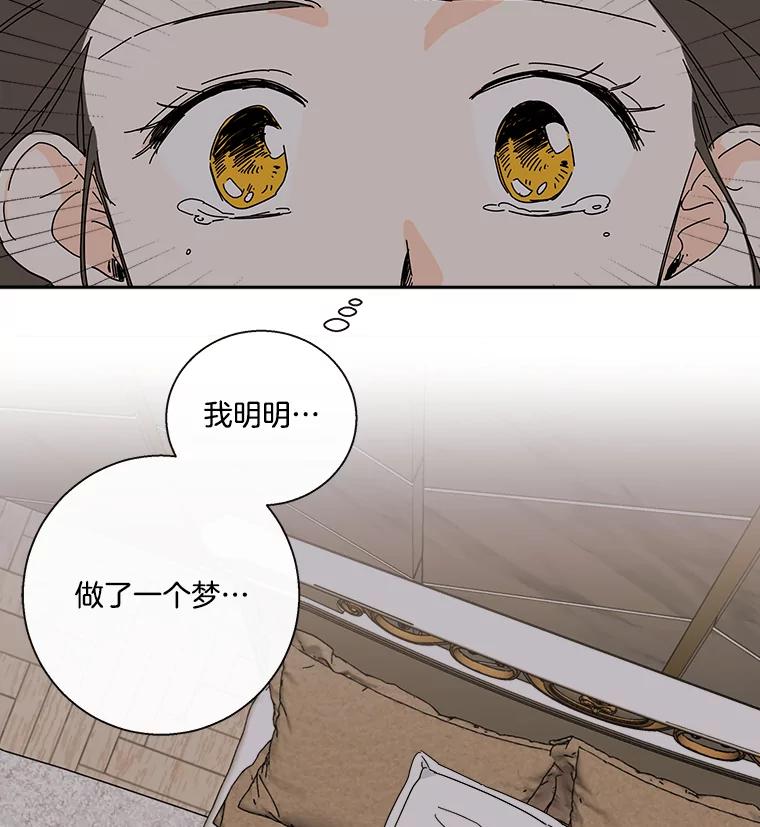 《追逐光的爱恋》29.突如其来的好消息 第15页