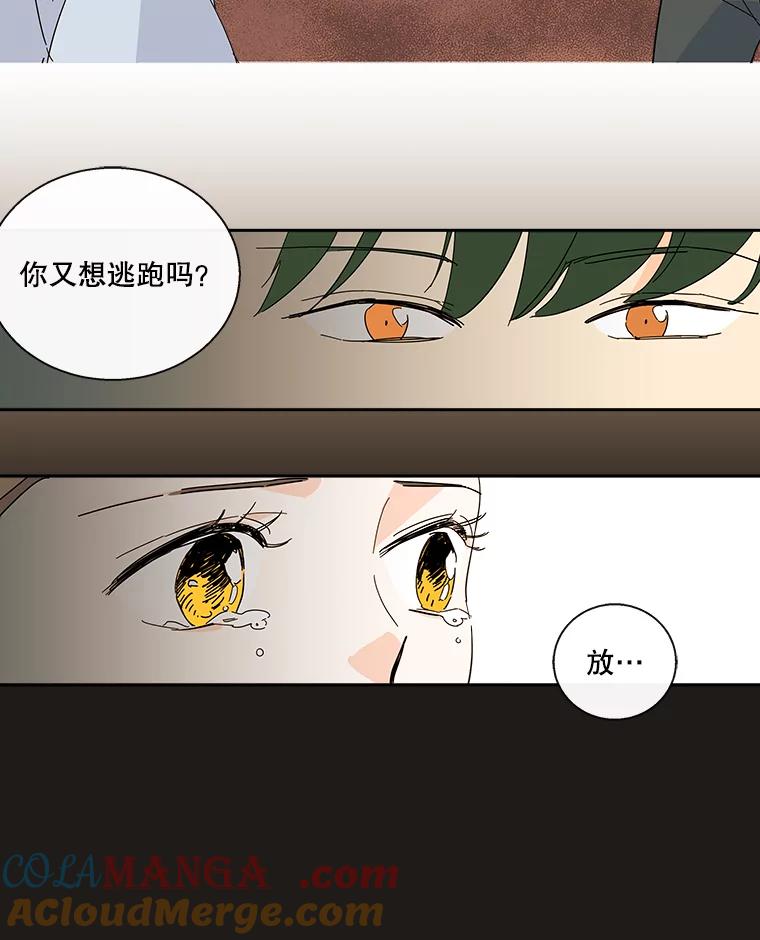 《追逐光的爱恋》29.突如其来的好消息 第13页