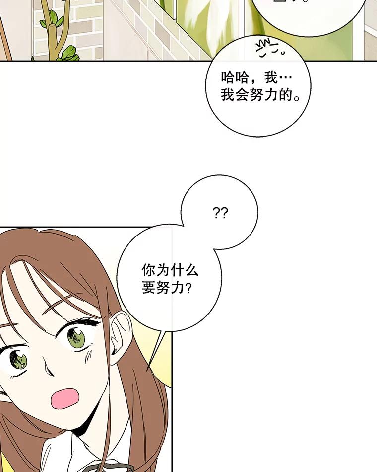 《追逐光的爱恋》36.追星族无处不在 第41页