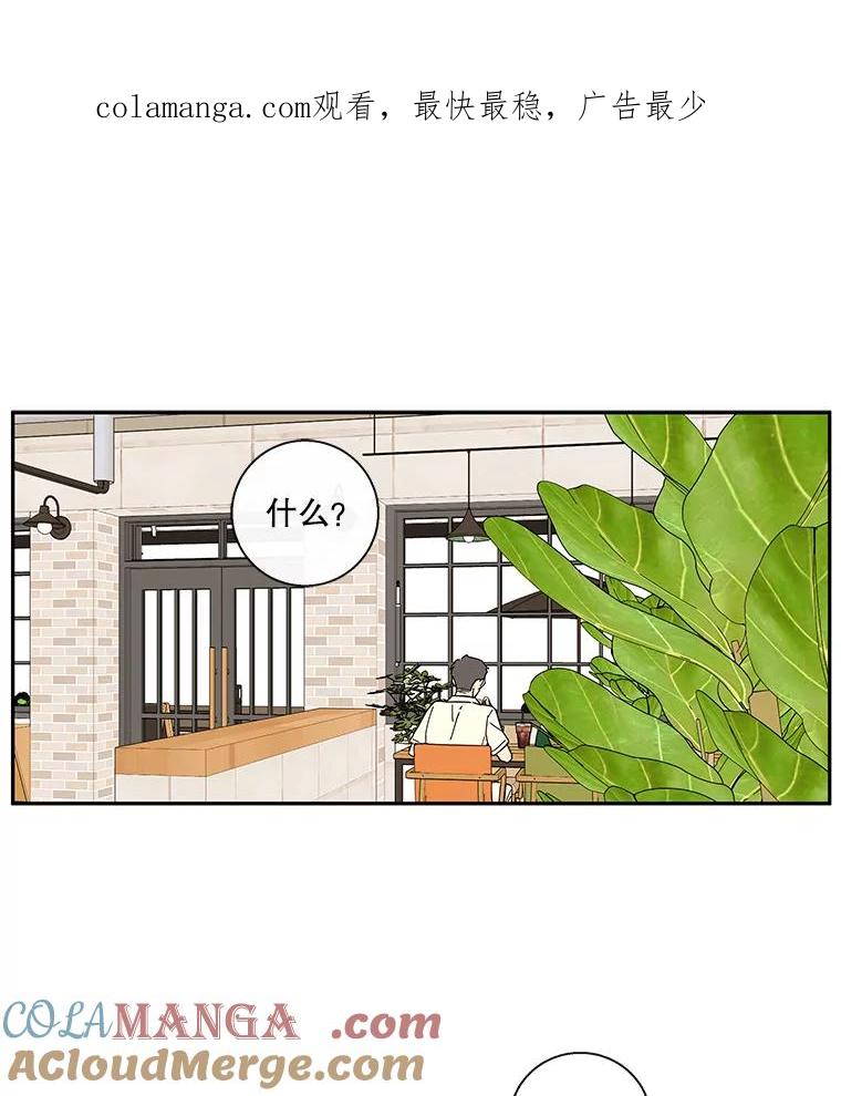 《追逐光的爱恋》37.好机会 第1页