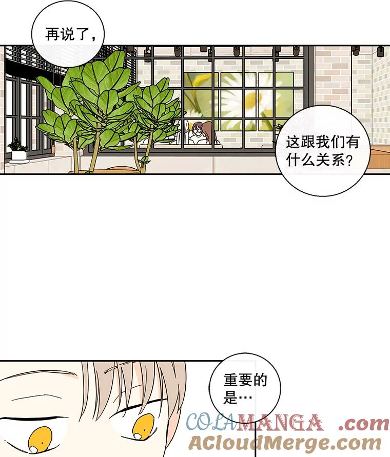 《追逐光的爱恋》37.好机会 第5页