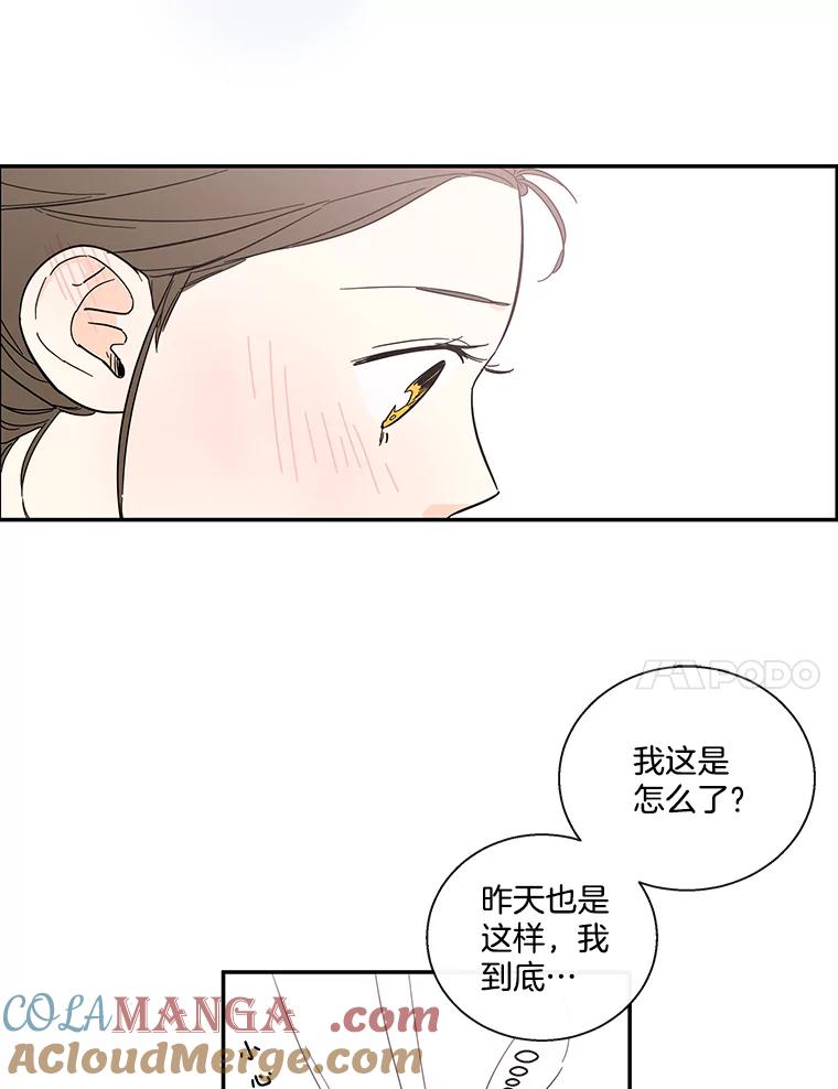《追逐光的爱恋》39.巧合 第43页