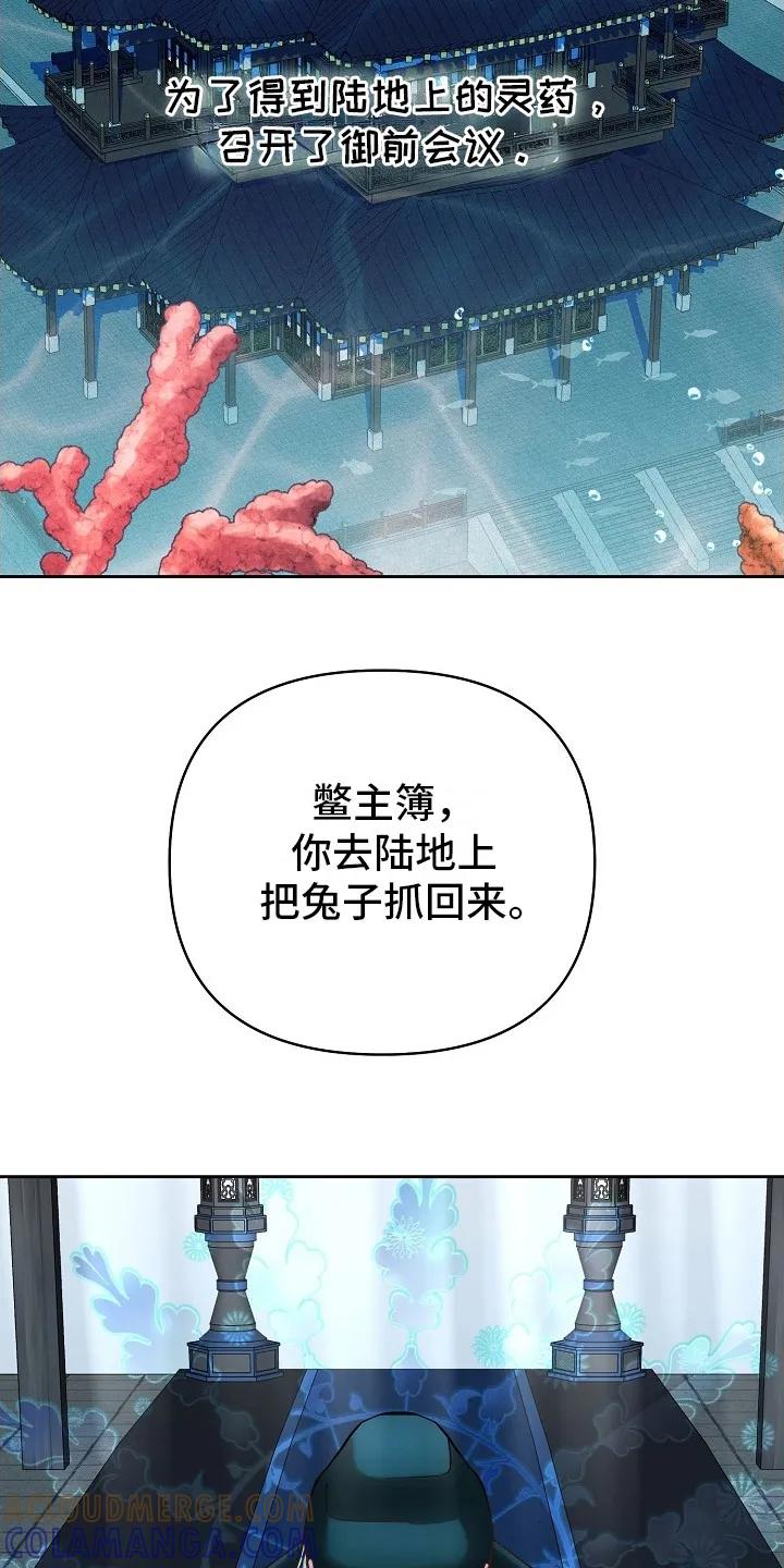 《陆地灵药》第1章：命令 第21页
